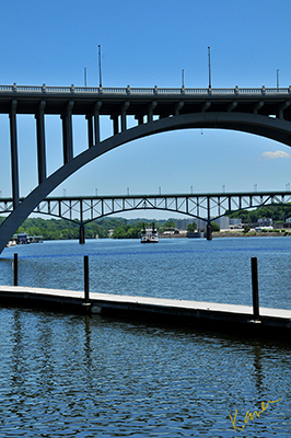 Bridges criss cross the Tennessee River, Photos from downtown Knoxville, Tennessee